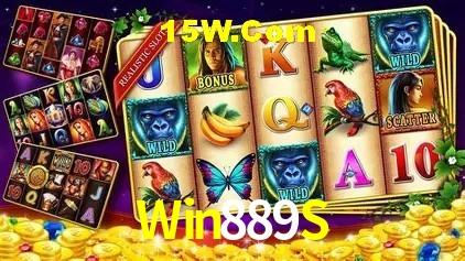 Win889S,Win889S Paga